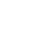 51 Ice Kiwi