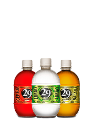 29 Sabores